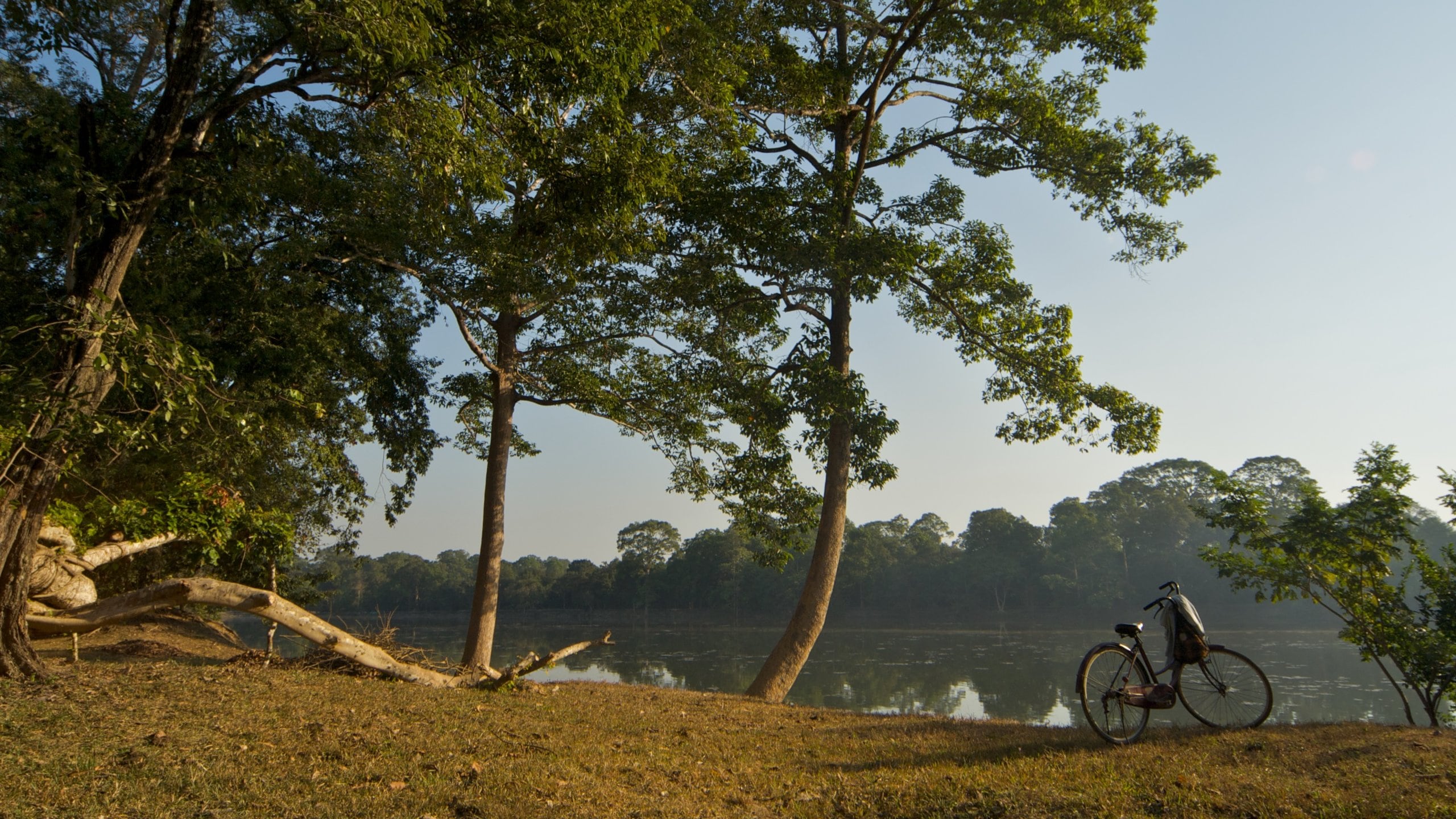 Siem Reap featuring landscape views and cycling