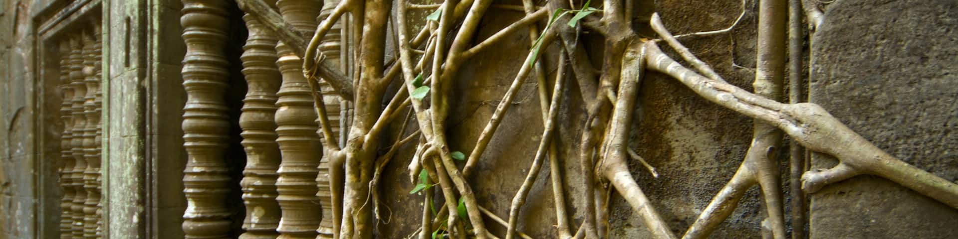 Siem Reap which includes building ruins