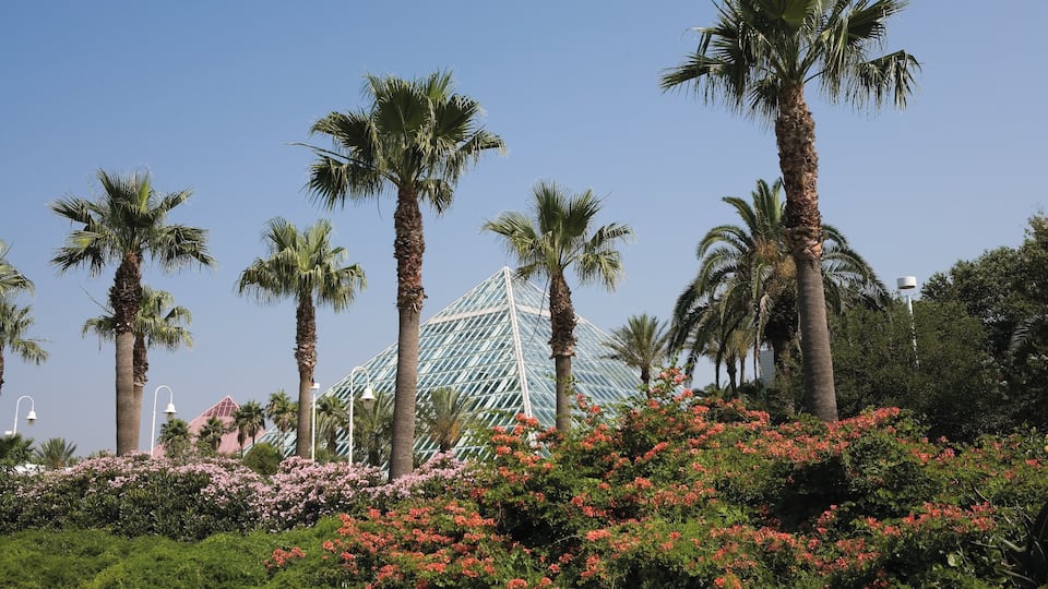 Galveston mostrando um parque e paisagem