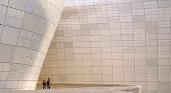 Dongdaemun Design Plaza che include architettura moderna cosi come coppia