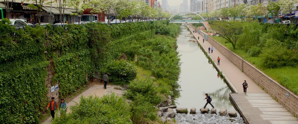 Dongdaemun History and Culture Park showing a city, a garden and a river or creek