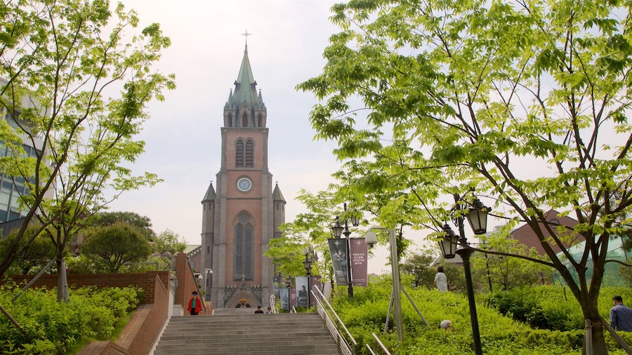Myeongdong Cathedral showing a park, a church or cathedral and heritage architecture