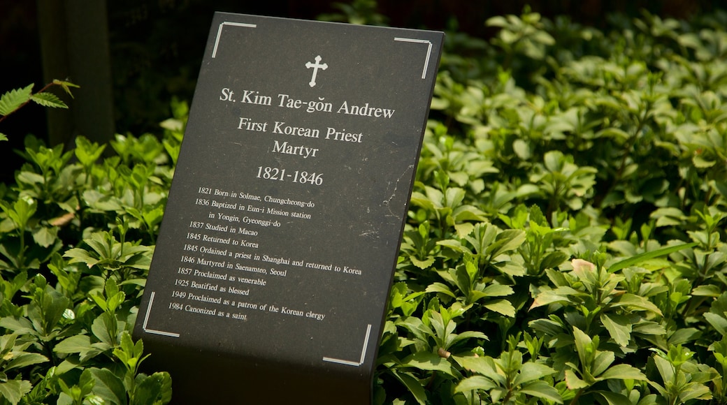 Myeongdong Cathedral featuring signage