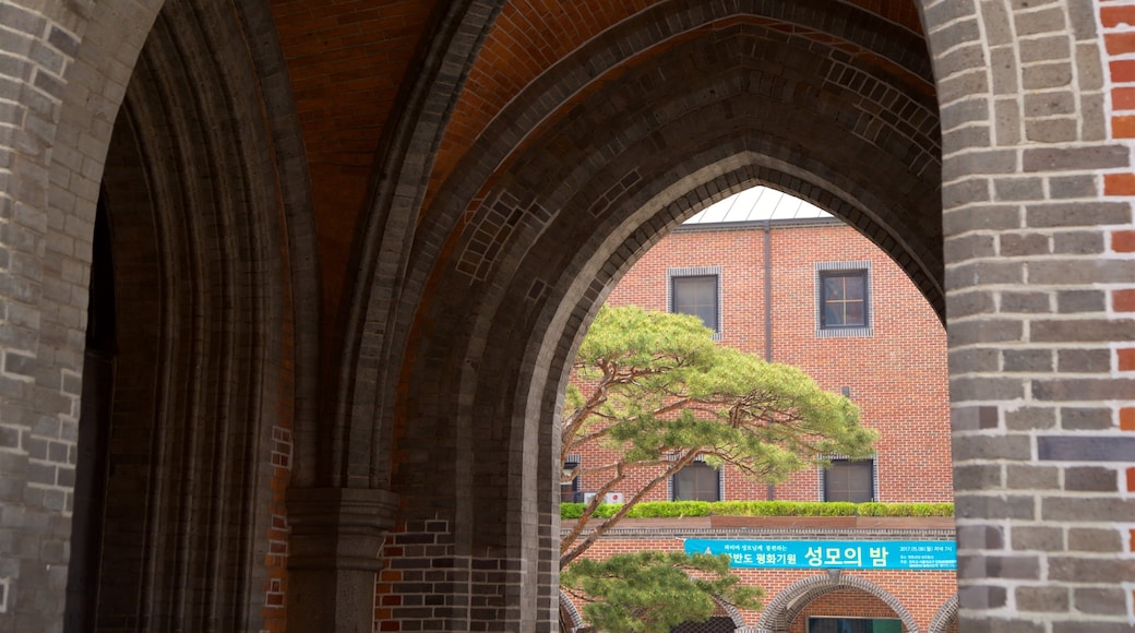 Myeongdong Cathedral featuring interior views and heritage elements