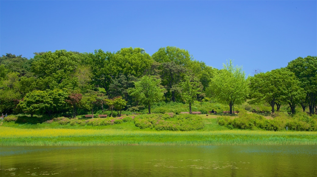 Parque Olímpico que incluye un río o arroyo