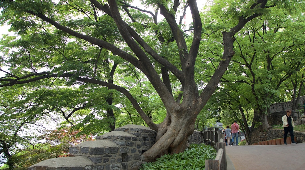 Namsan Park showing a garden