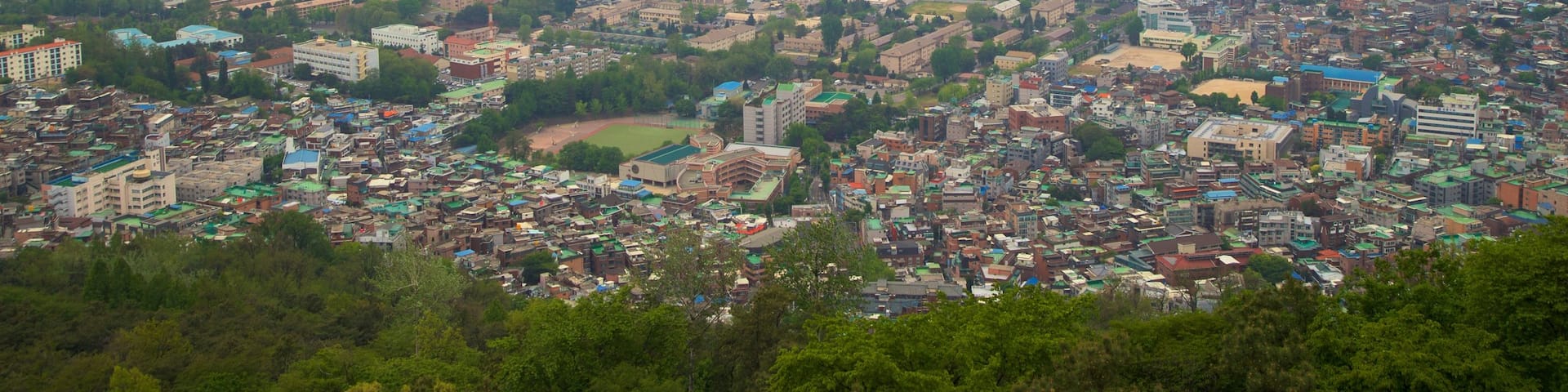 Namsan Park, Seoul, South Korea featuring landscape views, a city and mist or fog