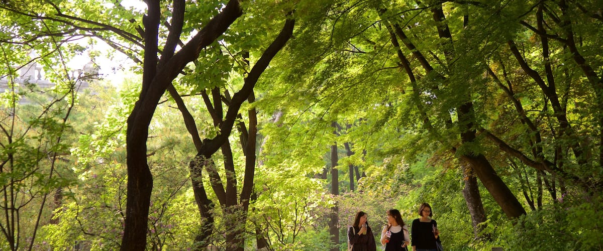 Deoksugung Palace featuring a garden as well as a small group of people