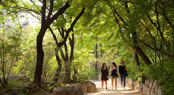 Palácio de Deoksugung que inclui um jardim assim como um pequeno grupo de pessoas