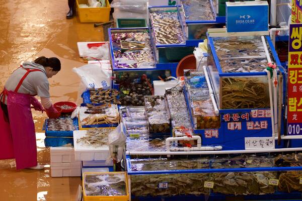 Marché aux poissons de Noryangjin mettant en vedette marchés et nourriture aussi bien que femme