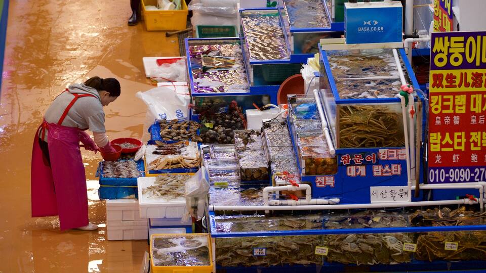 Mercado de Peixes Noryangjin que inclui comida e mercados assim como uma mulher sozinha