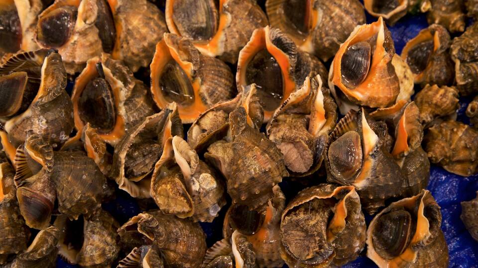 Mercado de Peixes Noryangjin caracterizando mercados e comida