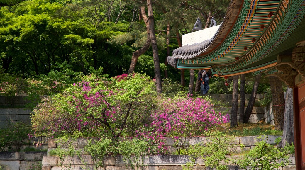 Changgyeong Palace featuring wildflowers and heritage elements