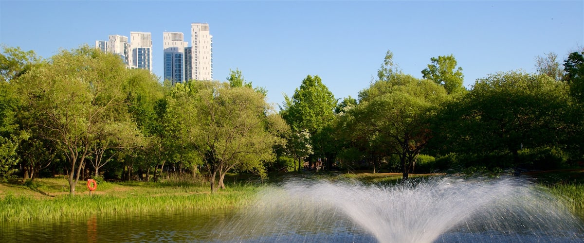 Seoul Forest featuring a high-rise building, a pond and a fountain