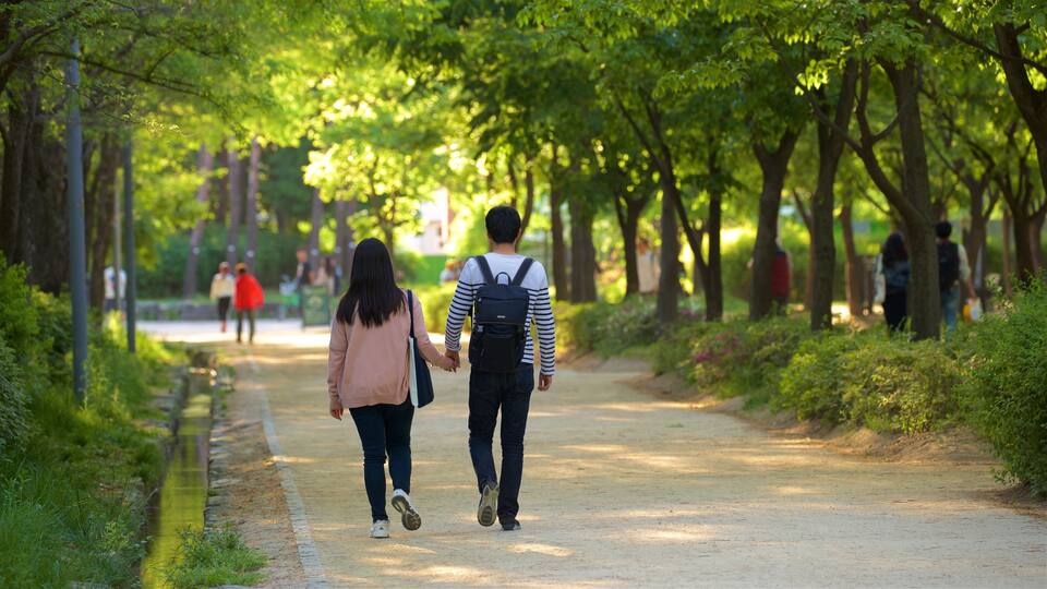 Foresta di Seul caratteristiche di giardino cosi come coppia