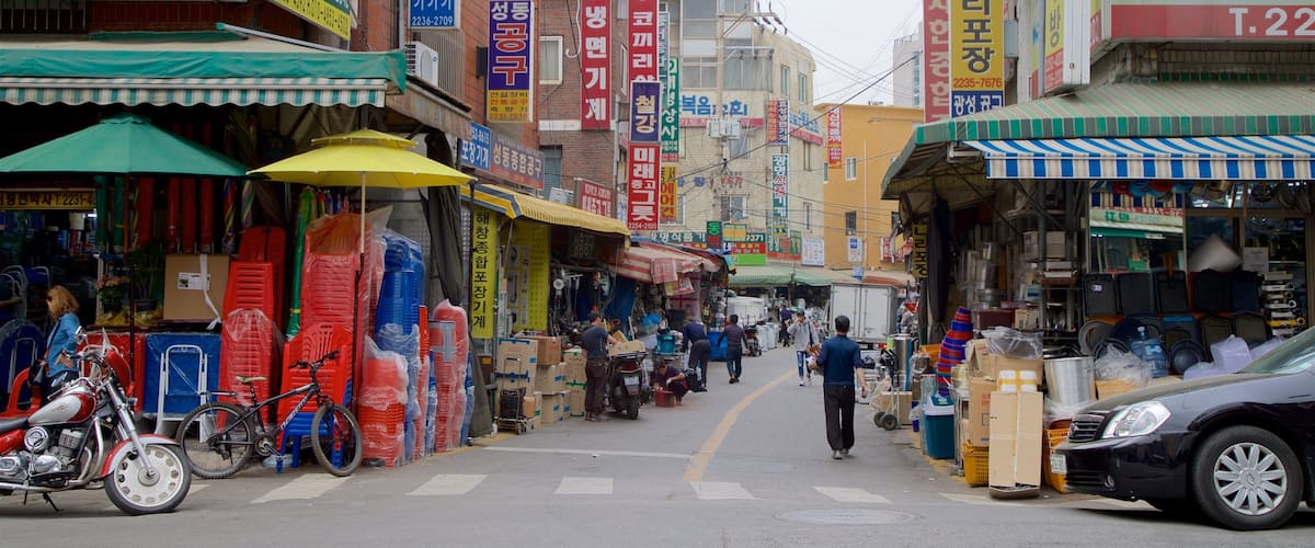 ๊ด์ฅ์์ฅ ์ด ํฌํจ ์ ํธ