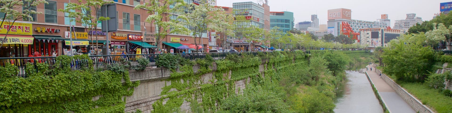 Gwangjang Traditional Market which includes a park, a city and a river or creek