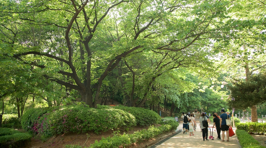 Yongsan Park which includes a garden as well as a small group of people