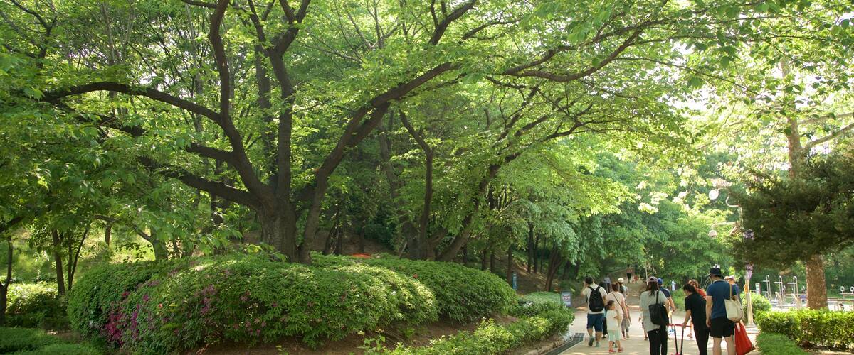 Yongsan Park showing a park as well as a small group of people