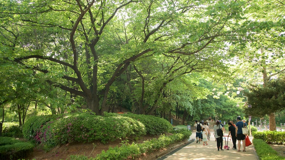Yongsan Park featuring a park as well as a small group of people