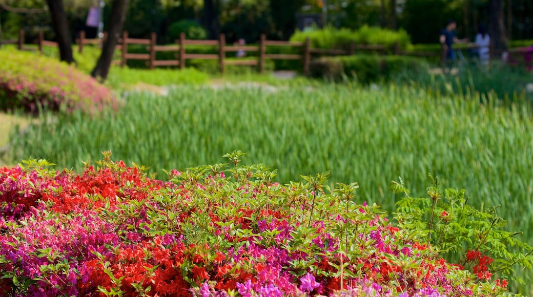 Yongsan Park showing a garden and wild flowers