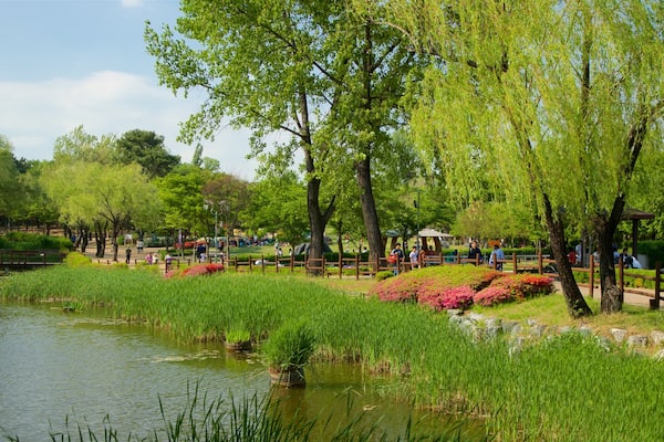 Yongsan Park das einen Park, Teich und Wildblumen