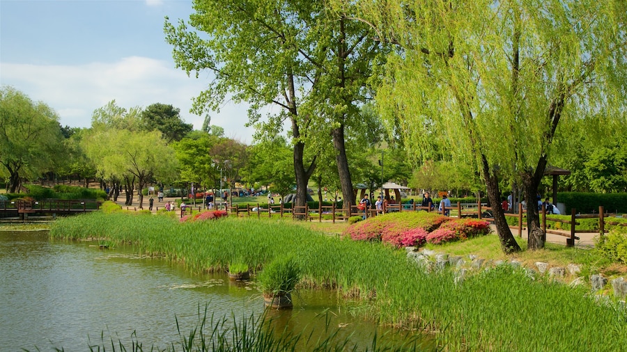 Parque Yongsan que incluye un estanque, un jardín y flores silvestres