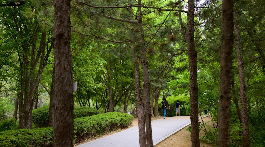 Namsan Botanical Garden showing a garden