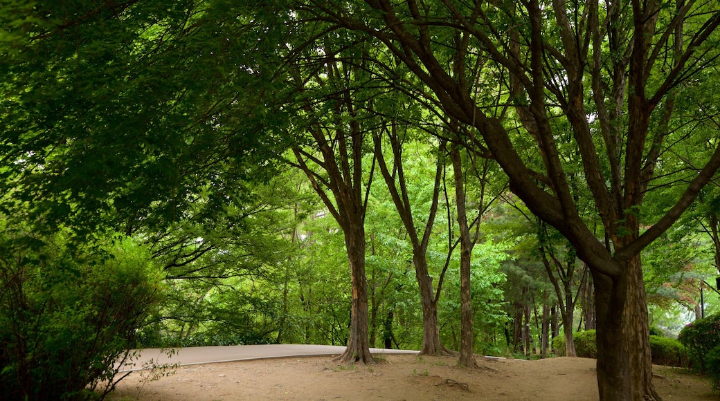 Jardín Botánico de Namsan ofreciendo un parque