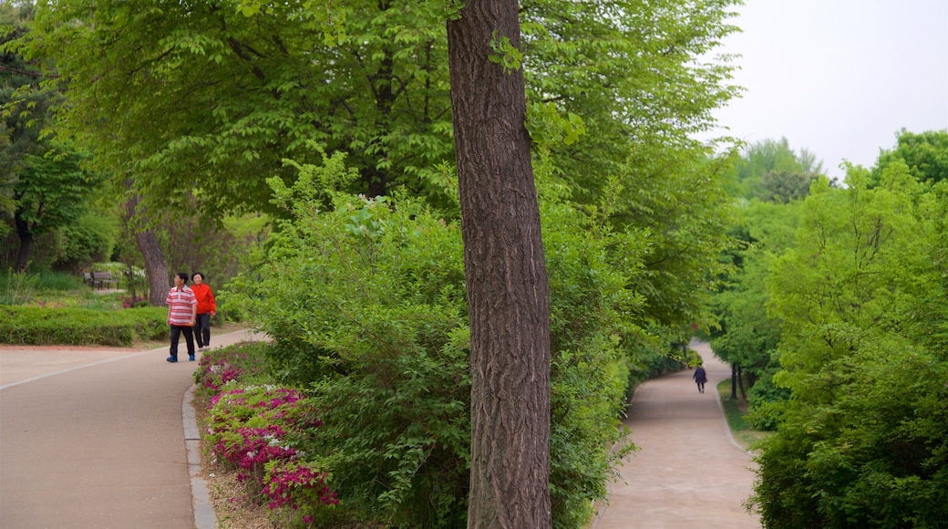 Jardin botanique de Namsan montrant randonnée ou marche à pied, jardin et fleurs sauvages