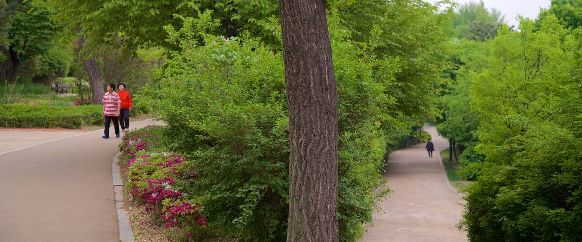 ๋จ์ฐ์๋ฌผ์ ์ ํน์ง ํ์ดํน ๋๋ ๊ฑท๊ธฐ, ์ผ์ํ ๊ณผ ๊ณต์