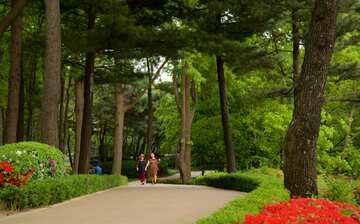 Visit Namsan Botanical Garden in Seoul | Expedia