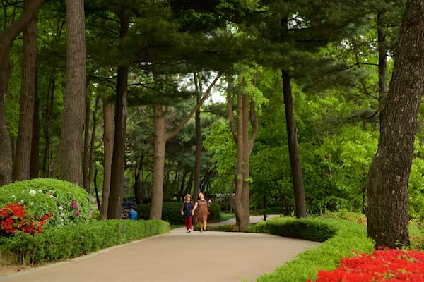 Botanischer Garten Namsan das einen Park und Wildblumen sowie Paar