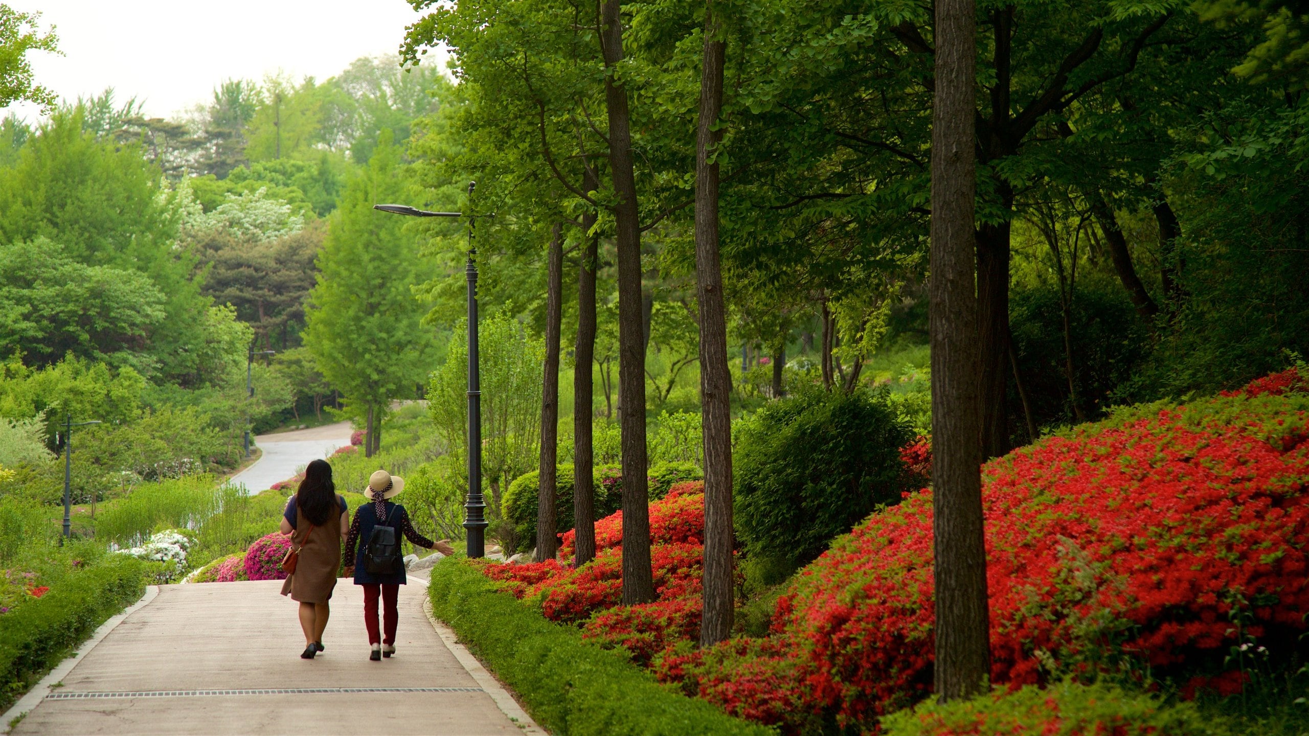 Jardin botanique de Namsan, Séoul location de vacances à partir de € 32
