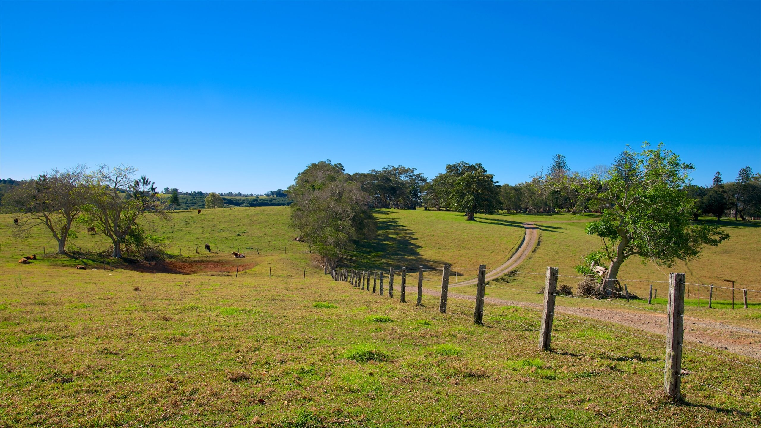 Cheap flights from Newark Liberty Intl. Airport to Maroochydore (EWR to ...