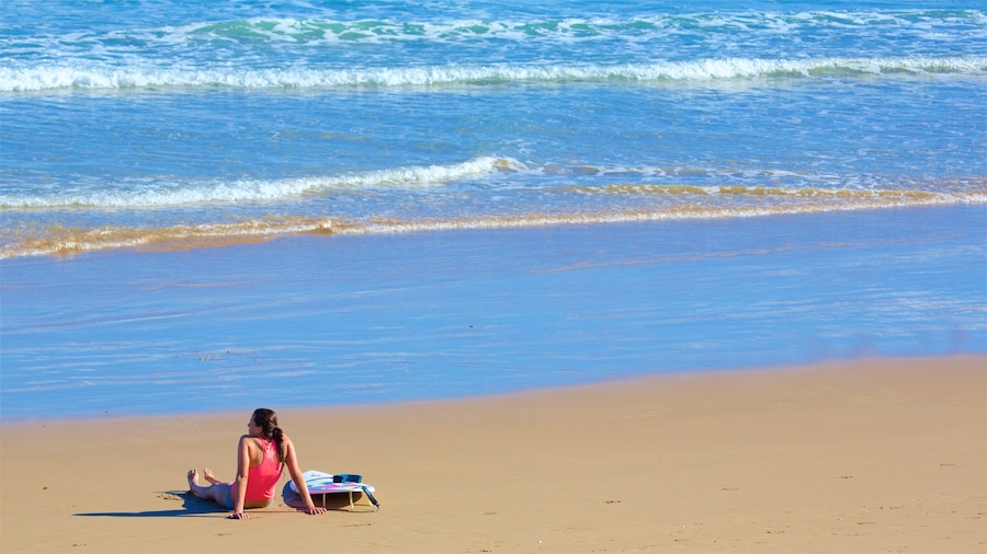 Great Ocean Road featuring general coastal views and a beach as well as an individual female