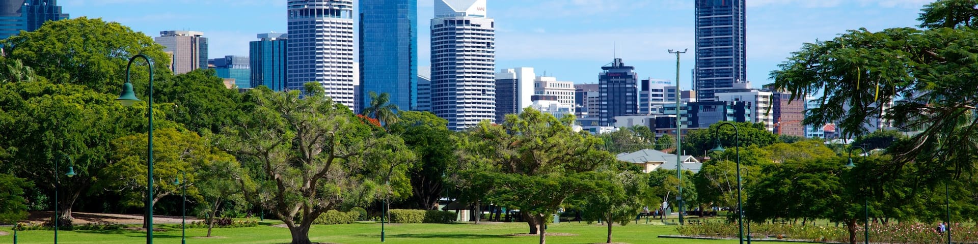 New Farm showing a skyscraper, a park and a city