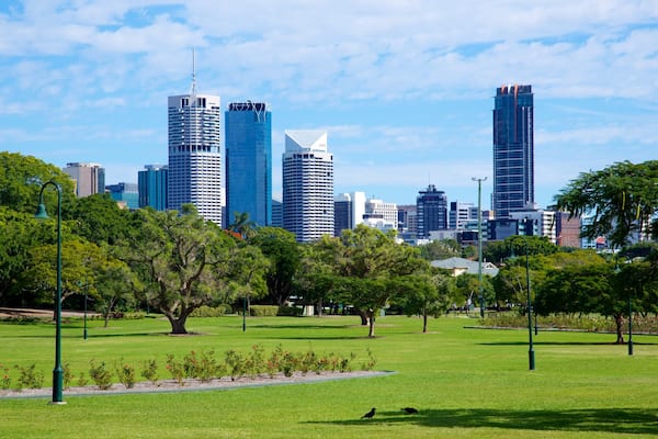 New Farm showing a skyscraper, a park and a city