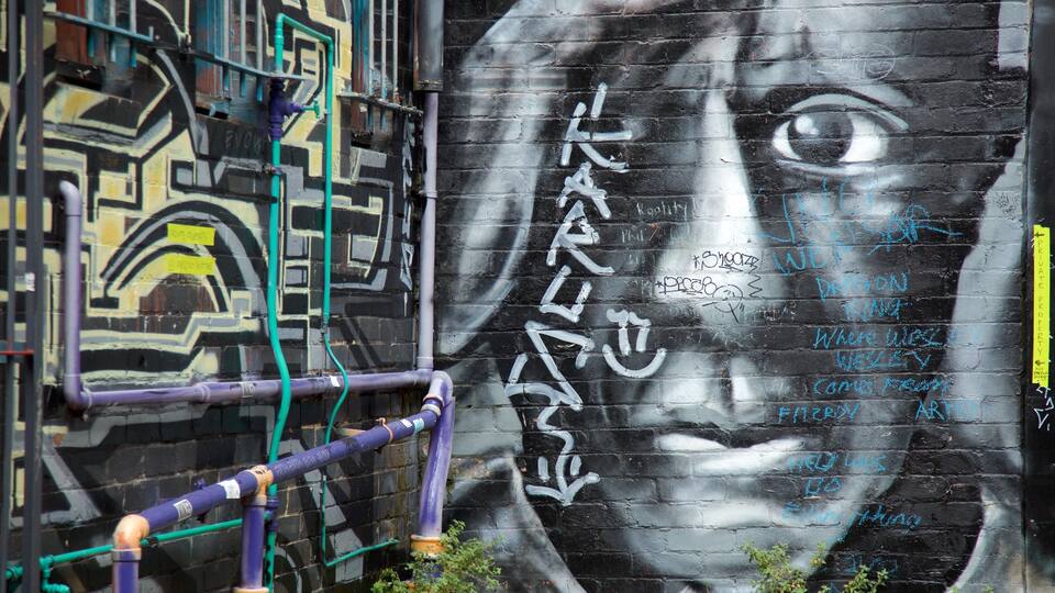 Fitzroy showing outdoor art