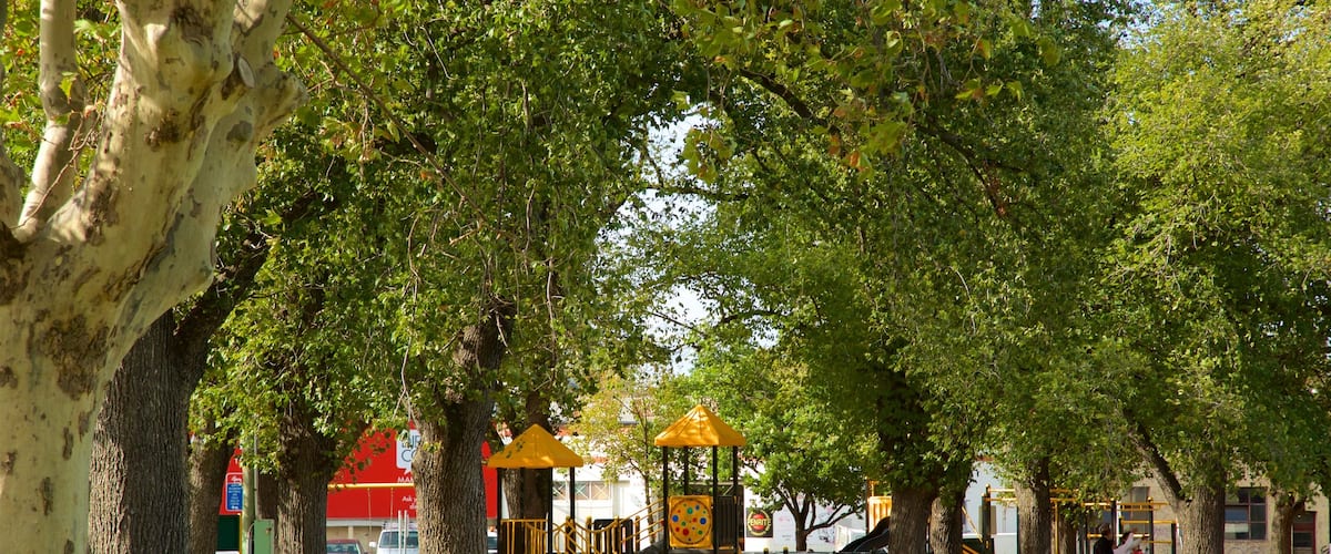 Richmond which includes a playground and a garden