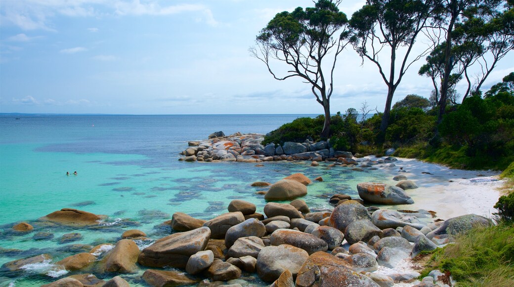 Tasmania which includes rocky coastline and general coastal views