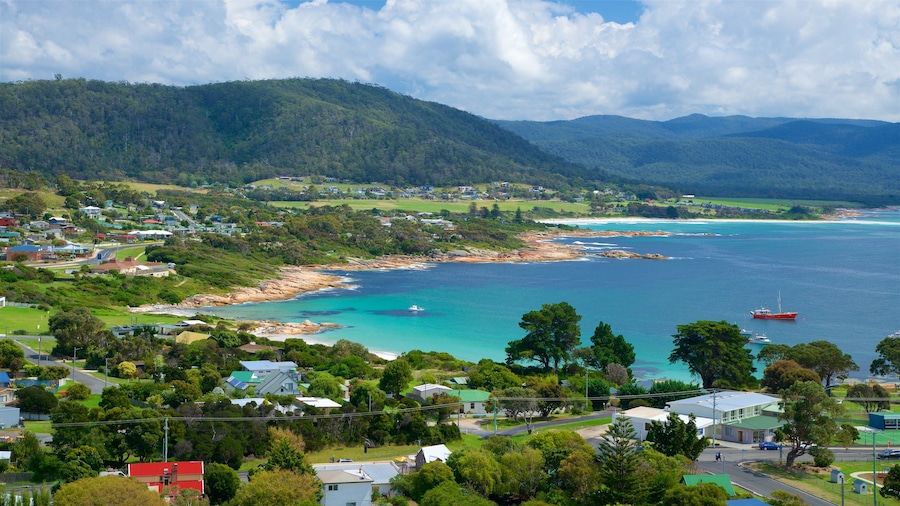 Tasmania showing a coastal town, tranquil scenes and general coastal views