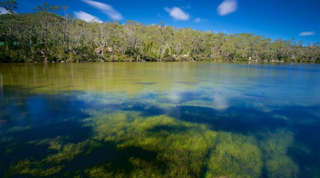 Mount Field National Park which includes wetlands