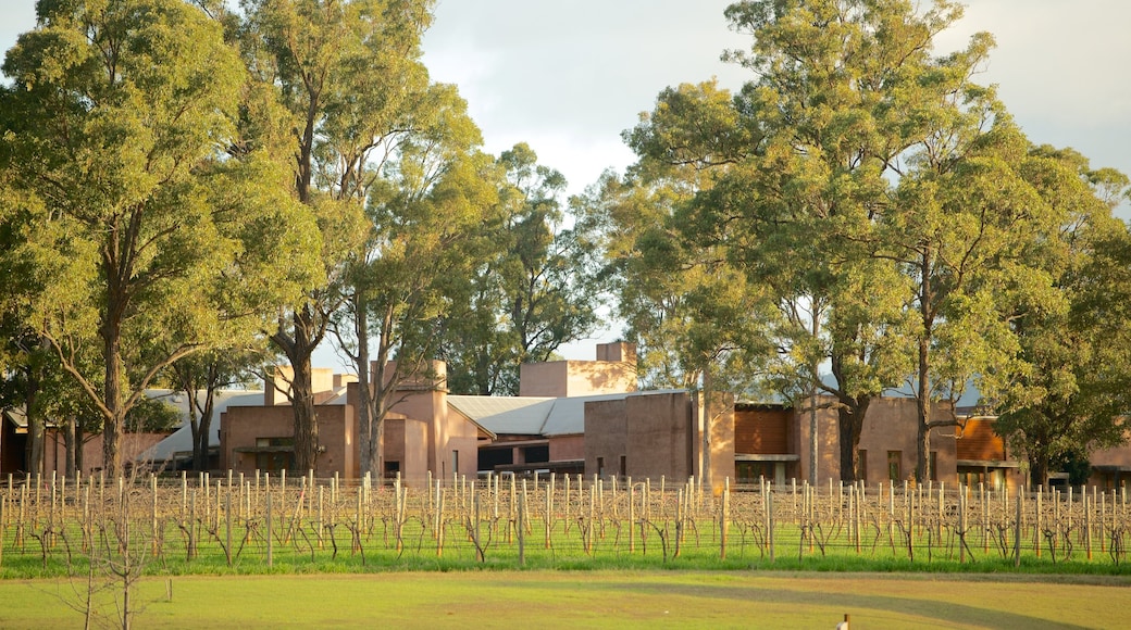 Hunter Valley som inkluderar åkrar och landskap