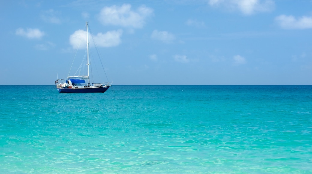 Whitsunday Islands welches beinhaltet Bootfahren, tropische Szenerien und allgemeine Küstenansicht