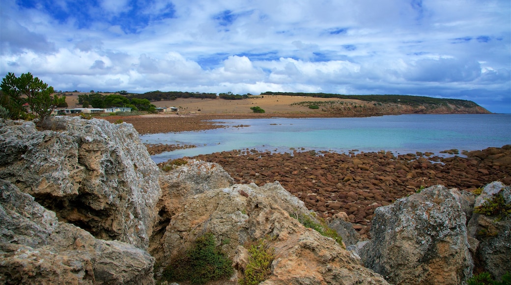 Kangaroo Island which includes rocky coastline and general coastal views