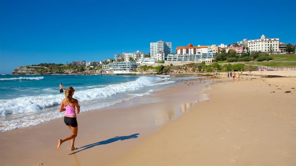 Bondi Beach bevat algemene kustgezichten, een kuststadje en een zandstrand