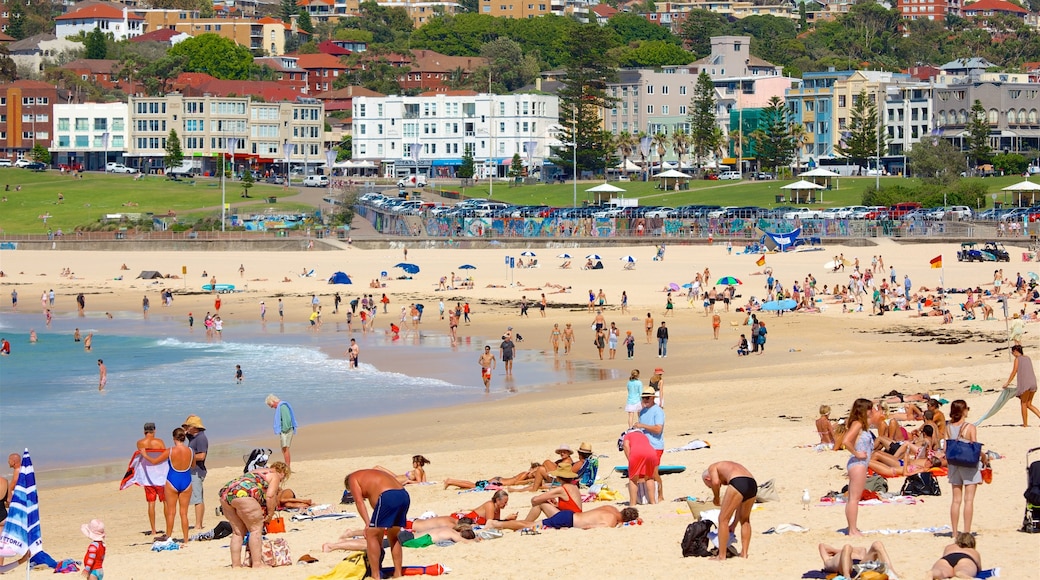 Bondi Beach which includes a coastal town, a sandy beach and general coastal views