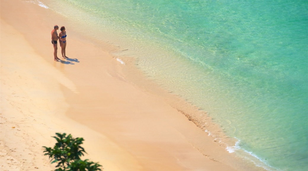 Tailandia Meridionale che include vista della costa, paesaggio tropicale e spiaggia sabbiosa