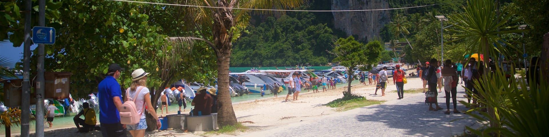 Ko Phi Phi featuring a sandy beach, tropical scenes and mountains